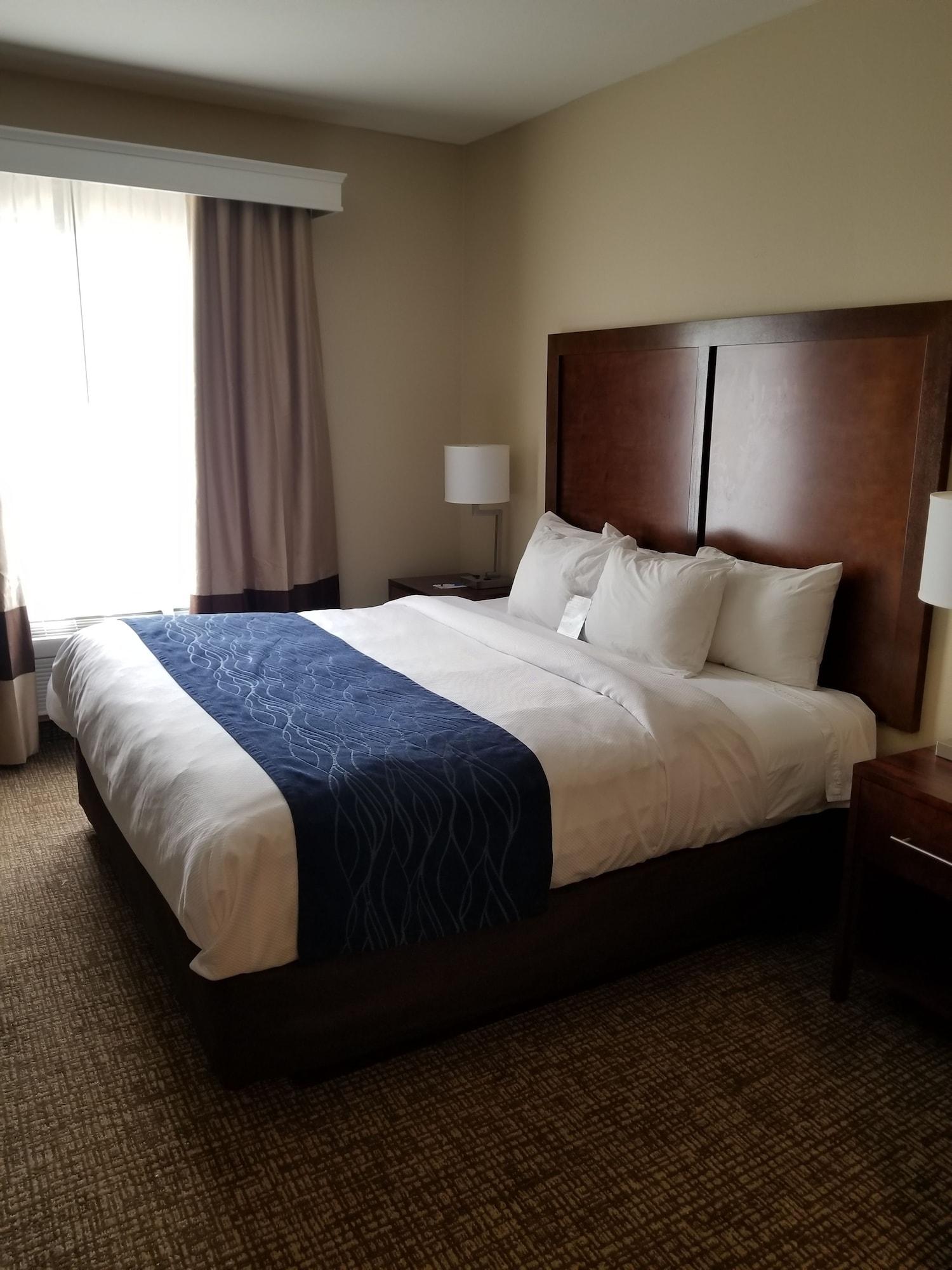 Sonesta Essential - Baton Rouge Airport Hotel Bagian luar foto
